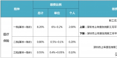 镇职工社保缴费档次有哪些区别(职工社保档次标准)