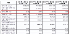 2023年北京怎么注册内资股份公司（）