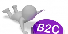 B2C电子商务的主要类型(b2c指的是什么意思)