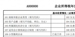 所得税年度纳税申报表怎么填(填写年度所得税汇算清缴表说明)