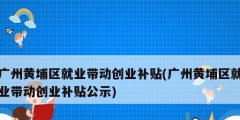 广州黄埔区就业带动创业补贴(广州黄埔区就业带动创业补贴公示)