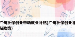 广州社保创业带动就业补贴(广州社保创业补贴政策)