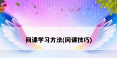 网课学习方法(网课技巧)