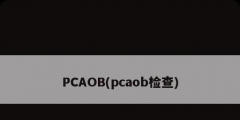 PCAOB(pcaob检查)