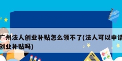 广州法人创业补贴怎么领不了(法人可以申请创业补贴吗)