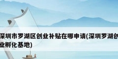 深圳市罗湖区创业补贴在哪申请(深圳罗湖创业孵化基地)