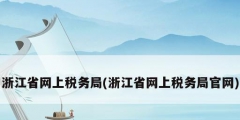 浙江省网上税务局(浙江省网上税务局官网)