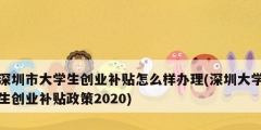 深圳市大学生创业补贴怎么样办理(深圳大学生创业补贴政策2020)