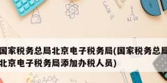 国家税务总局北京电子税务局(国家税务总局北京电子税务局添加办税人员)