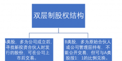 什么是双层股权结构(双层制股权结构的特点)